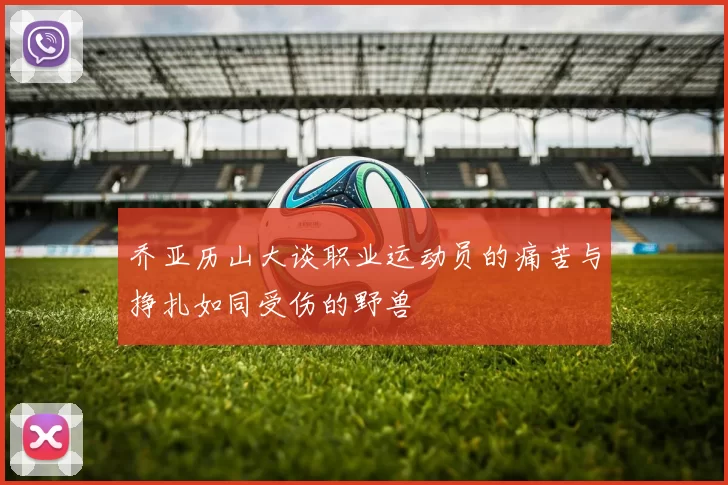 乔亚历山大谈职业运动员的痛苦与挣扎如同受伤的野兽